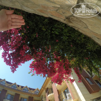 фото из отзыва ID 1737497