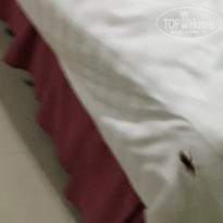 фото из отзыва ID 1737542