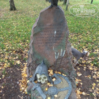 фото из отзыва ID 1737545