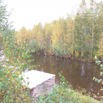 фото из отзыва ID 1737545