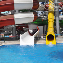 фото из отзыва ID 1737615