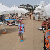 фото из отзыва ID 1737615