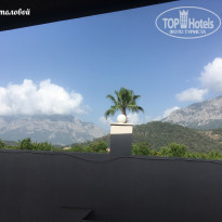 фото из отзыва ID 1737654