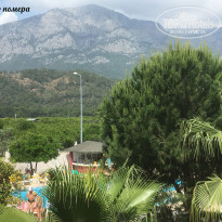 фото из отзыва ID 1737654