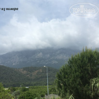 фото из отзыва ID 1737654