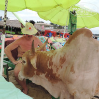 фото из отзыва ID 1737773