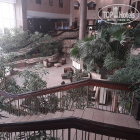 фото из отзыва ID 1737974