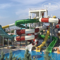 фото из отзыва ID 1738078