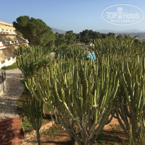 фото из отзыва ID 1738689