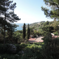 фото из отзыва ID 1738689