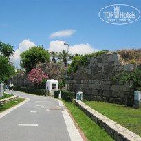 фото из отзыва ID 1738177