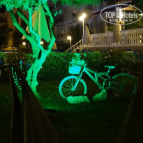 фото из отзыва ID 1738701