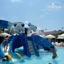 фото из отзыва ID 1738900