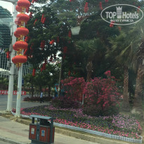 фото из отзыва ID 1739076