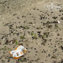 фото из отзыва ID 1739081