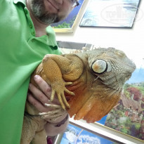 фото из отзыва ID 1739109