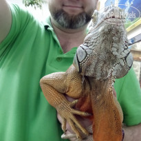 фото из отзыва ID 1739109