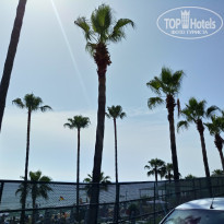 фото из отзыва ID 1739109