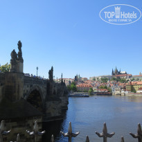 фото из отзыва ID 1739295