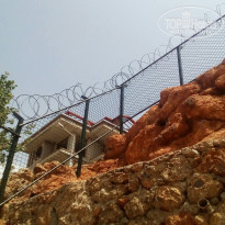 фото из отзыва ID 1739306