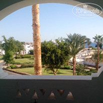 фото из отзыва ID 1739330