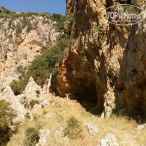 фото из отзыва ID 1739344