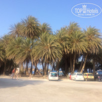 фото из отзыва ID 1739344