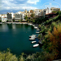 фото из отзыва ID 1739344