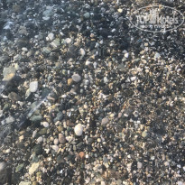 фото из отзыва ID 1739392