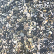 фото из отзыва ID 1739392