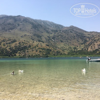 фото из отзыва ID 1739460