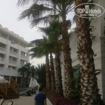 фото из отзыва ID 1732563