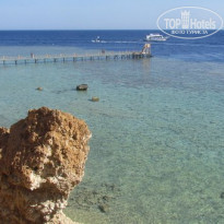 фото из отзыва ID 1739527