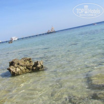 фото из отзыва ID 1739527