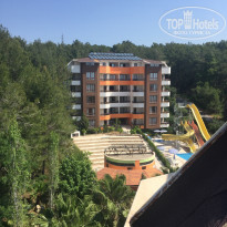 фото из отзыва ID 1739648