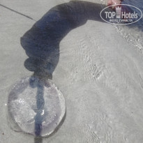 фото из отзыва ID 1739655