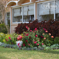 фото из отзыва ID 1731217