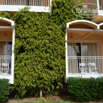 фото из отзыва ID 1731217