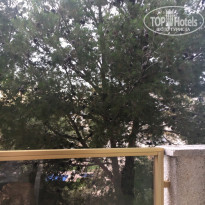 фото из отзыва ID 1738823