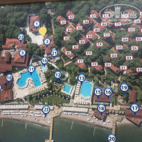 фото из отзыва ID 1736858