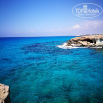 фото из отзыва ID 1733619