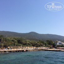 фото из отзыва ID 1733814