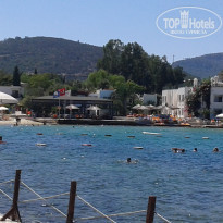 фото из отзыва ID 1733814