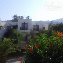 фото из отзыва ID 1733814