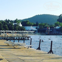 фото из отзыва ID 1733814