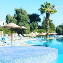 фото из отзыва ID 1733814