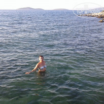 фото из отзыва ID 1733814