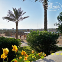 фото из отзыва ID 174078