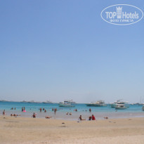 фото из отзыва ID 174625