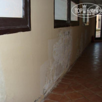 фото из отзыва ID 174625